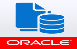 Oracle数据库管理工具有哪些?-北京华体网页版公司