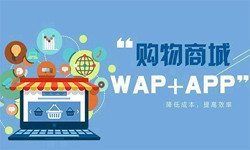 手机商城app华体网页版流程-北京华体网页版外包公司