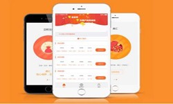 开发一款在线答题app需要哪些基本功能？北京华体网页版