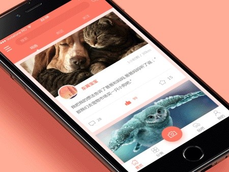 宠物医院App开发的价值和相关功能-北京华体网页版